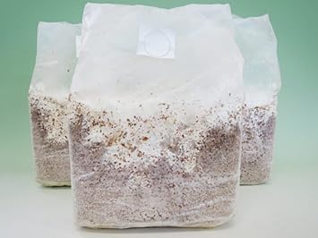 Amazon 菌糸ブロック E ブロック9個入り クワガタ幼虫用 月夜野きのこ園 餌 通販