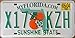 Florida MyFlorida.com License Plate green numbers on white with Twin Oranges