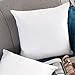 YSTHER Down Feather Throw Pillow Inserts 20x20 Set of 2 Firm Large Lumbar Pillows for Bed Decorative Couch Soft Pillows for Sleeping Indoor White Cotton Pillow Sofa Travel