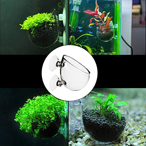 21sandwhick Fish Tank Pot, Mini Wall Mount Aquarium Fish Tank aquatics