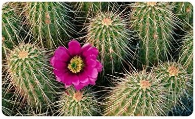 Desert Cactus Doormat Entrance Mat Floor Mat Rug Indoor/Outdoor/Front Door/Bathroom Mats Rubber Non Slip Size 30 x 18 inches