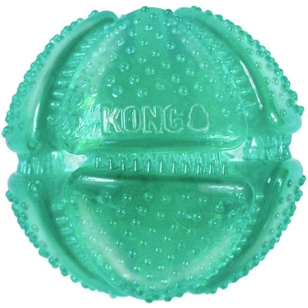 kong toy guarantee