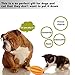 Dog's Chew Toy Dogs Teeth Cleaning Toy [Bite Resistant][Non-Toxic Soft]Jakpak Dog Chew Toys and Teeth Cleaning Balls Teething Rubber Bones for Pet Funny Chew Rugby Football Toy for Dogs Orange