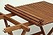 Byer of Maine Pangean Roll Top Table, Hardwood Keruing Wood, Hand-Dipped Oil Finish, Easy to Fold and Carry, Perfect for Camping and Tailgating, Matches All Furniture in the Pangean Linethumb 1