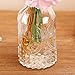 MyGift Vintage Embossed Clear Glass Bottle, Apothecary Style Flower Bud Vase, Essential Oil Diffuser Bottles with Cork Lid, Set of 2