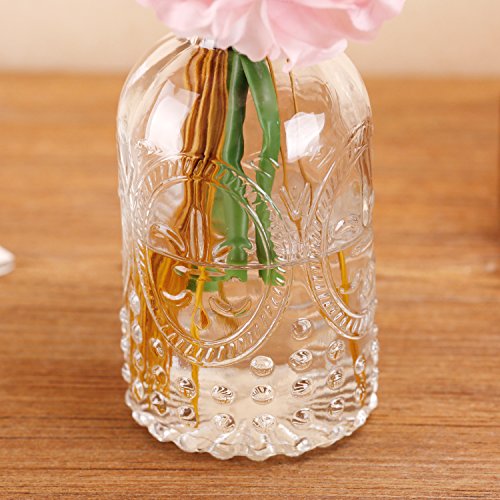 MyGift Vintage Embossed Clear Glass Diffuser Bottles with Cork Lids