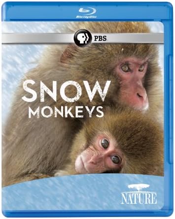 Amazon.com: Wild Asia 1: In the Realm Of The Red Ape [Blu-ray