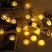 Novelty Lemon Decor Fairy String Lights with 20 LED, Battery Operated Warm Twinkle Christmas String Lights for Kitchen,Party,Wedding,Festival,Home Decorations,13ft/4m (Provide Two Extra Lemon Slices)