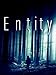 Entity