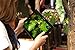 Lenovo TAB2 A10 - 10.1
