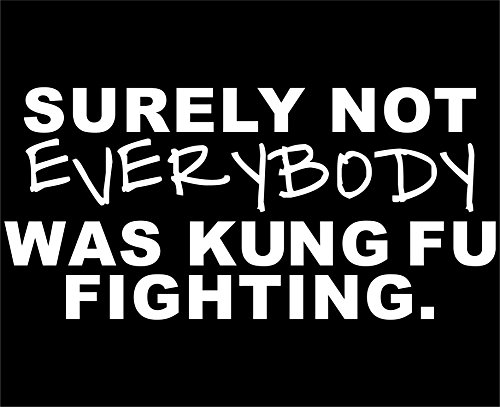 Surely Not Everybody Was Kung Fu Fighting. - 7 3/4"x 3 3/4" - Vinyl Die Cut Decal / Bumper Sticker For Windows, Trucks, Cars, Laptops, Macbooks, Etc.
