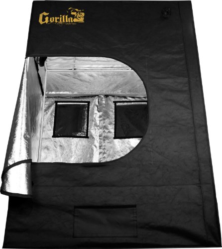 Best Grow Tent For The Money
