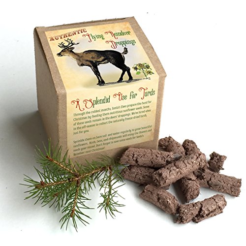 Authentic Flying Reindeer Droppings (Sunflower Seed Pellets for Christmas Gifts)