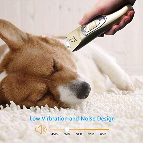 Mifine Professional Dog Clippers Kit Rechargeable - Dog Grooming Clippers and Cordless Pet Clippers Suitable Dogs, Cats and Other Animals, Eyes, Face, Ears, Paw, Around Rump (Gold)