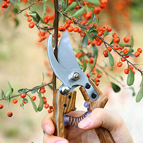 OARA Garden Shears Manual Pruning Shears with SK-5 Blade Professional Garden Pruning Shears Clippers for Plants Gardening Trimming Garden Tools
