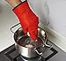 Chefaith Silicone Kitchen Gloves [Barbecue Shredding Smoker Meat Gloves] for Cooking, Baking, BBQ, Grilling [Free Pot Holder as Bonus]- Heat Resistant (Up to 480°F) Oven Mitts, Best Protection Ever