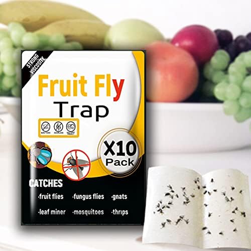 Fruit Fly Traps for Indoors,10 Pack Fruit Fly Trap,NonToxic Gnat