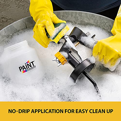 Paint Zoom Platinum Paint Sprayer plus 2 extra Paint Containers