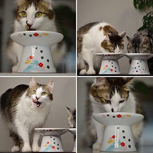 Necoichi Extra Wide Raised Cat Food Bowl (Fuji Limited Edition, Extra