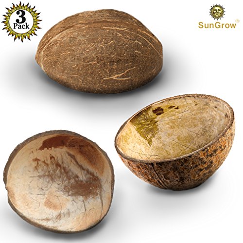 1 SunGrow+Hermit+Crab+Food+Bowls