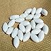 Magnetic Stirrer Stir Bar PTFE Magnetic Mixer Stir Bars (5X10mm, Olive Shape, 10pcs)