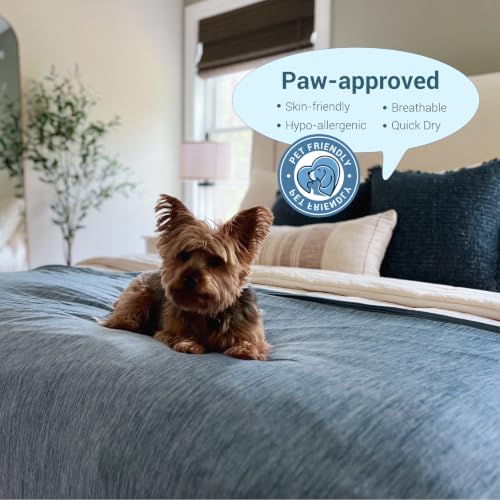 Elegear Cooling Blanket, Revolutionary Queen Size Summer Blanket, Absorbs Body Heat to Keep Cool on Hot Nights, Q-Max 0.4 Cooling Fiber,100% Cotton Backing Blanket - Blue, 78"x86"