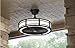 Brette Indoor/Outdoor Ceiling Fan with Two 23W LED Light Strips, 23-Inch, Espresso Bronze