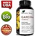95% HCA Garcinia Cambogia – Ultra Pure Fat Burner Extract – Weight Loss Pills for Women + Men – Appetite Blocker + Suppressant – Slim + Burn Supplement – Best Results + Reviews