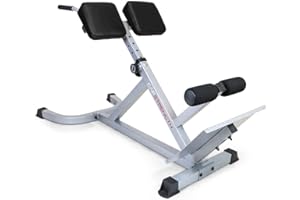 CAPHAUS 45 Degree Roman Chair Glutes Hamstring Workout Equipment for Muscle Strength Training Fitness, with Dip Station, Adjustable Hyperextension Ab Bench, Multi-Functional Back Machines