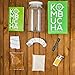 Complete Kombucha Starter Kit with Premium SCOBY Starter for Delicious Brewing- Gallon Brewing Jar, Tea Bags, Temperature Gauge, Organic Sugar and More - By Kitchentoolz