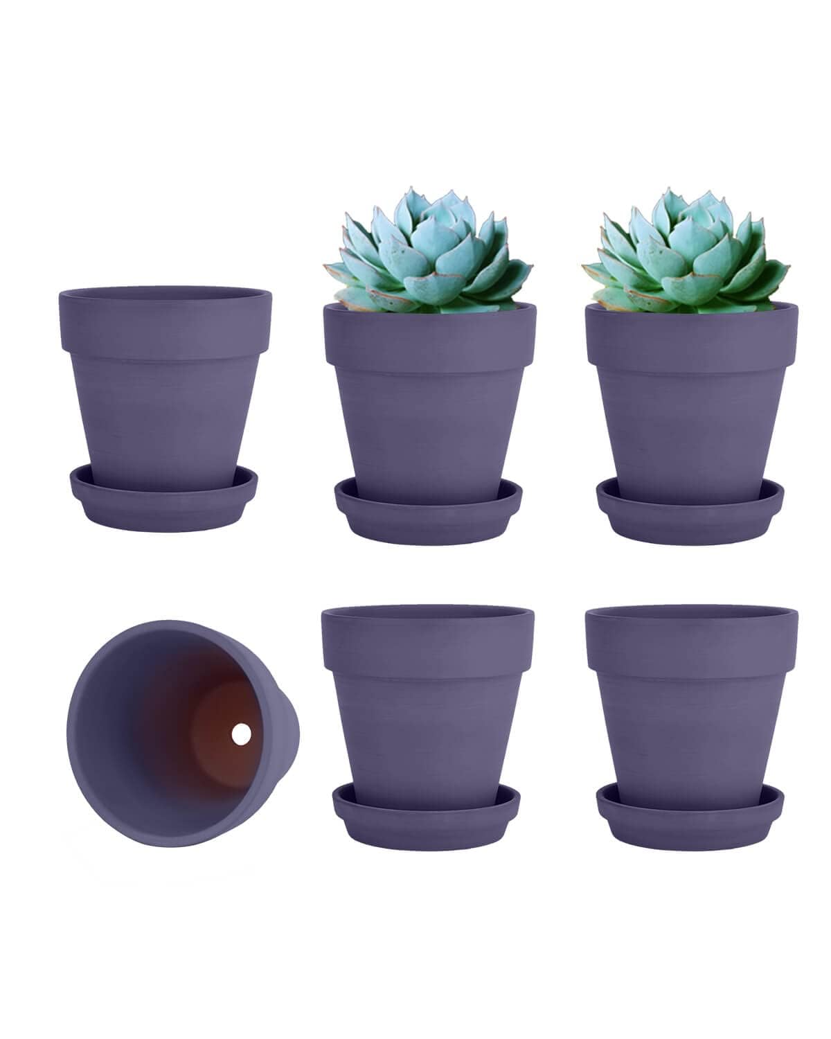vensovo 10.16cm Purple Clay Pot for Plant with Saucer - 6 Pack Small Terra Cotta Plant Pot with Drainage Hole, Flower Pot with Tray, Terracotta Pot for Indoor Outdoor Plant
