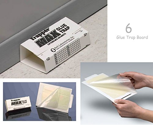 trapper max mouse glue board (6 Traps)