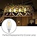 LEDERA Dimmable E12 LED Candelabra Bulb, 40W Halogen Bulbs Equivalent, Warm White 2700K, 6-Pack