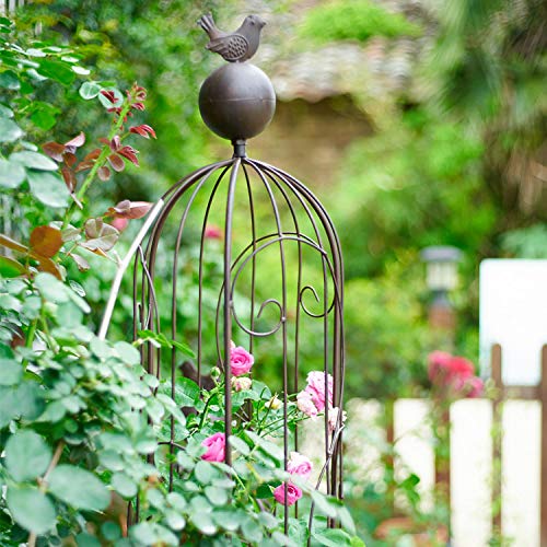 CJSWT Rankhilfe, Rankobelisk,Rankgerüst Kletterpflanzen,Garten Obelisk Metall Trellis Blumenunterstützung Für Klettern… – Bild 6