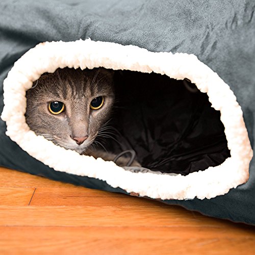 Cat Tunnels