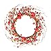 VGIA 18 Inch Red Berry Wreath Fall Wreath Front Door Decor Wreath Fall Decorations