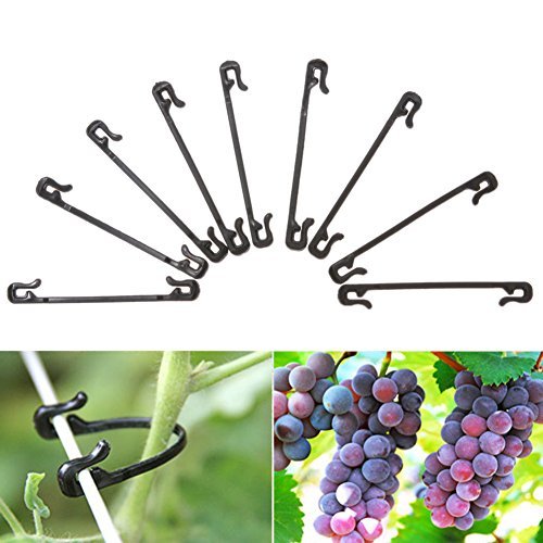 100 Pcs Garden Plant Clips Fastener Vines Tied Buckle Fixed Lashing Hook Greenhouse Vegetable Clip Gadget Tool