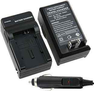 Canon fs100 аккумулятор
