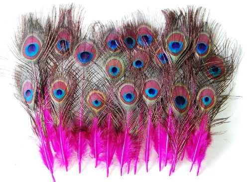 25 pcs peacock mini tail feathers 2"-9" dyed hot pink