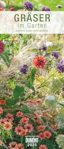 DUMONT - Gräser im Garten 2025 Wandkalender, 30x70cm, Gartenkalender mit beeindruckenden Fotografien aus dem Garten, mit Spiralbindung