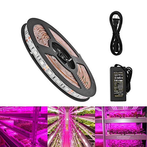 Goldwin Plant grow Waterproof Flexible LED Strip light with Power Adapter,Full Spectrum 5M 16.4 feet SMD5050 Red Blue 4:1 Growing Lamp for Aquarium Greenhouse Hydroponic Plant Garden Flowers