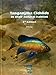 Tanganyika Cichlids in their Natural Habitat, by Ad Konings (REVISED & EXPANDED 3rd EDITION 2015).