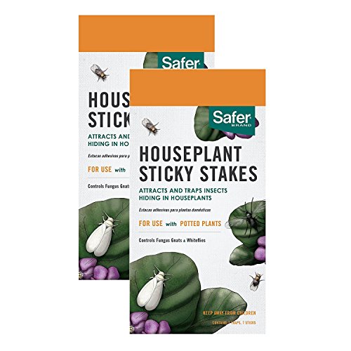 HOME-OUTDOOR Safer Brand 5025 Houseplant Sticky Stakes Insect Trap, (14 Traps) (Best Way To Kill Spiders In House)