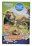 Discovery Kids Dinosaur Excavation Kit (T-REX) Fossil Model Bones Skeleton - with Digging Tools
