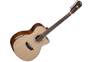 Washburn Comfort Deluxe Series 12 String Acoustic-Electric Guitar, Right, Natural (Other)