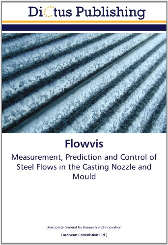 Flowvis: Measurement, Prediction and Control of Steel Flows in the Casting Nozzle and Mould