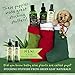 Green Leaf Naturals Aloe Vera Aftershave with Lemongrass Essential Oil - Naturally Anti-Aging Derma-Fuel for Men - 99.8% Organic - Large Long-Lasting Bottle - 8 ounce