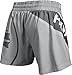 Hayabusa Kickboxing Shorts - Grey, 32