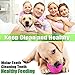 CHLEBEM Interactive Puppy Toys Ball for Small Medium Dogs - Chew Teething Teeth Cleaning Treat Food Dispensing Tough Durable Rubber Pet Ball (Pink)