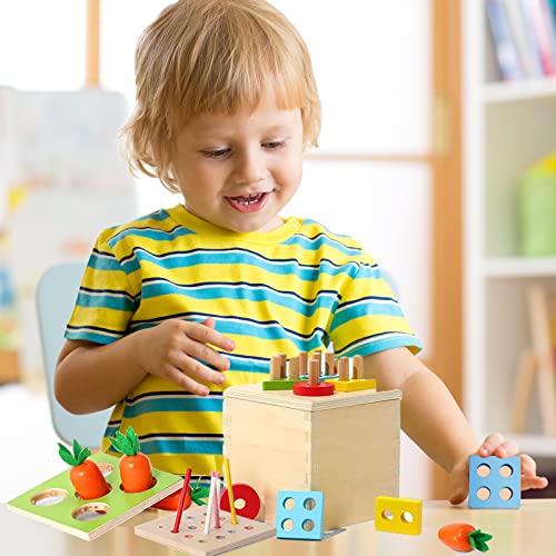 4for1 Montessori Toys for 1 2 3 Year Old Boy Girl,Wooden Sorting